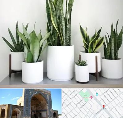 فروش گلدان در مصلی مشهد