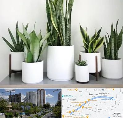 فروش گلدان در اندرزگو 