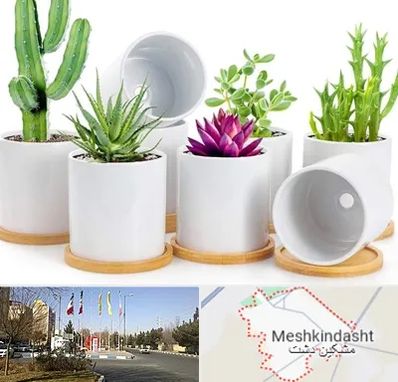 فروش گلدان سرامیکی در مشکین دشت