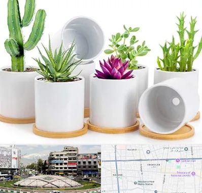 فروش گلدان سرامیکی در مرکز تهران