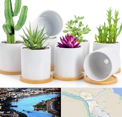 فروش گلدان سرامیکی در خرمشهر