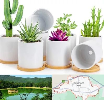 فروش گلدان سرامیکی در بهشهر