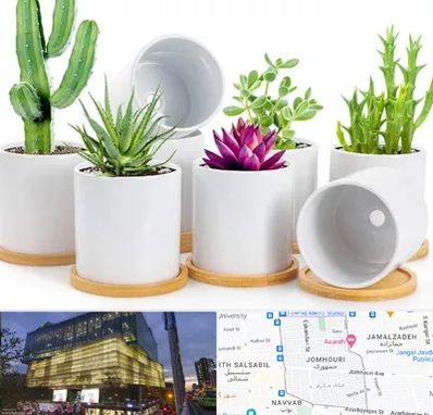 فروش گلدان سرامیکی در جمهوری 