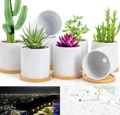 فروش گلدان سرامیکی در هفت تیر مشهد 