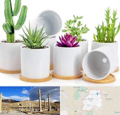 فروش گلدان سرامیکی در مرودشت