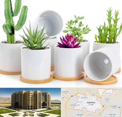 فروش گلدان سرامیکی در نجف آباد