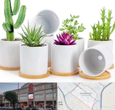 فروش گلدان سرامیکی در قائمیه اسلامشهر