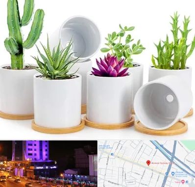 فروش گلدان سرامیکی در آبرسان تبریز