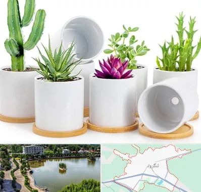 فروش گلدان سرامیکی در لنگرود