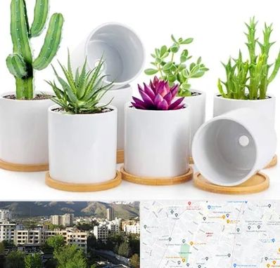 فروش گلدان سرامیکی در دیباجی 