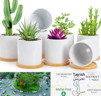 فروش گلدان سرامیکی در تجریش 