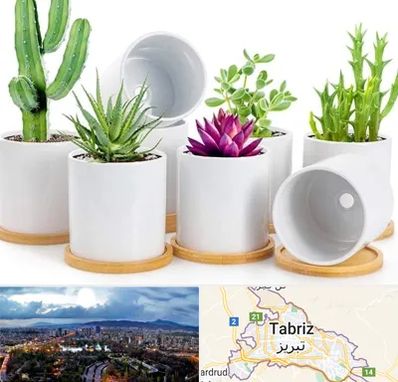 فروش گلدان سرامیکی در تبریز