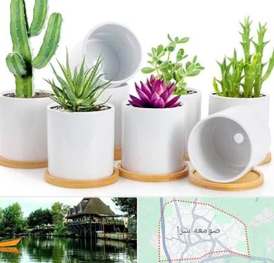 فروش گلدان سرامیکی در صومعه سرا