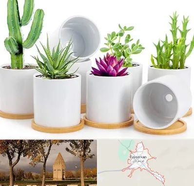 فروش گلدان سرامیکی در تویسرکان