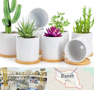 فروش گلدان سرامیکی در بانه