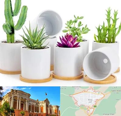 فروش گلدان سرامیکی در خوی