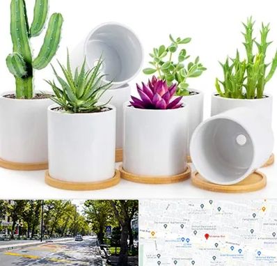 فروش گلدان سرامیکی در میرداماد 