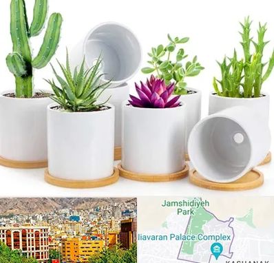 فروش گلدان سرامیکی در نیاوران 