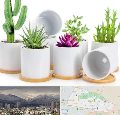 فروش گلدان سرامیکی در منطقه 4 تهران 