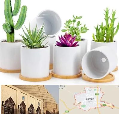 فروش گلدان سرامیکی در ساوه