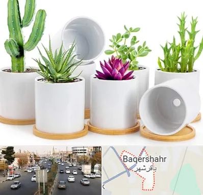 فروش گلدان سرامیکی در باقرشهر