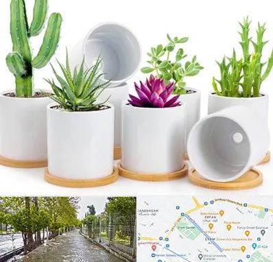 فروش گلدان سرامیکی در خیابان ارم شیراز 