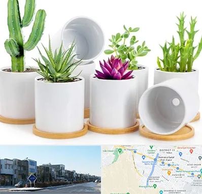 فروش گلدان سرامیکی در شریعتی مشهد 