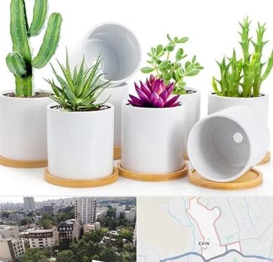 فروش گلدان سرامیکی در اوین