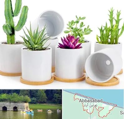 فروش گلدان سرامیکی در عباس آباد