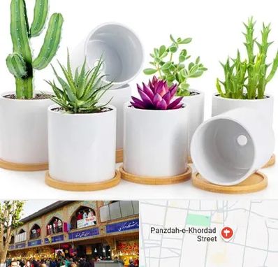 فروش گلدان سرامیکی در 15 خرداد