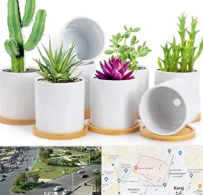 فروش گلدان سرامیکی در شاهین ویلا کرج 