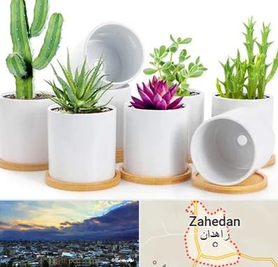 فروش گلدان سرامیکی در زاهدان