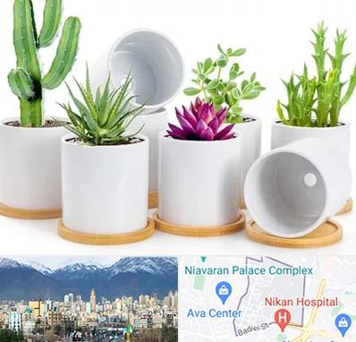 فروش گلدان سرامیکی در آجودانیه 