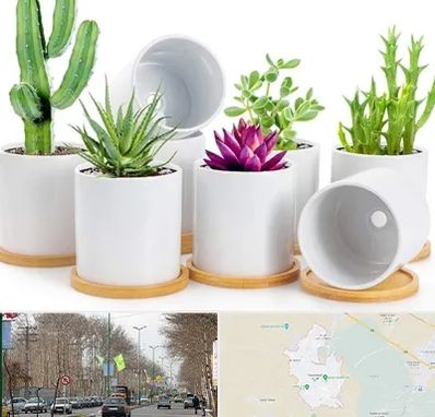 فروش گلدان سرامیکی در نظرآباد کرج 