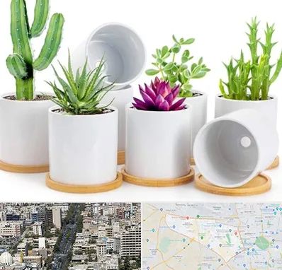 فروش گلدان سرامیکی در منطقه 18 تهران 