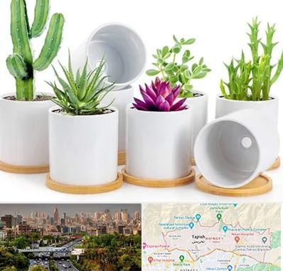 فروش گلدان سرامیکی در منطقه 1 تهران 