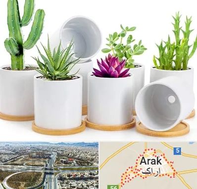 فروش گلدان سرامیکی در اراک