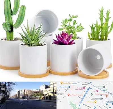 فروش گلدان سرامیکی در خیابان ملاصدرا شیراز 