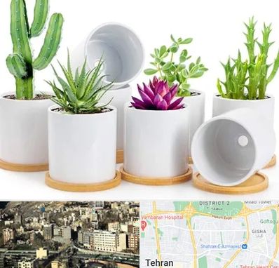 فروش گلدان سرامیکی در مرزداران 