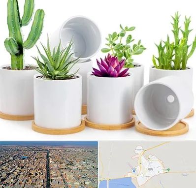 فروش گلدان سرامیکی در بندر ماهشهر