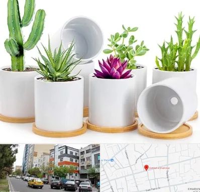 فروش گلدان سرامیکی در هفده شهریور تبریز