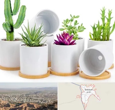 فروش گلدان سرامیکی در اسفراین