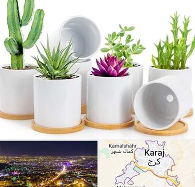 فروش گلدان سرامیکی در کرج