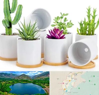 فروش گلدان سرامیکی در رودبار