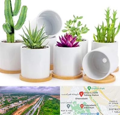 فروش گلدان سرامیکی در قصرالدشت شیراز 