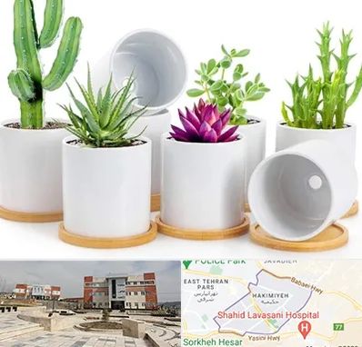 فروش گلدان سرامیکی در حکیمیه