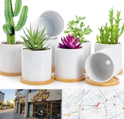 فروش گلدان سرامیکی در عطاران قم