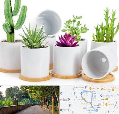 فروش گلدان سرامیکی در بلوار گیلان رشت 