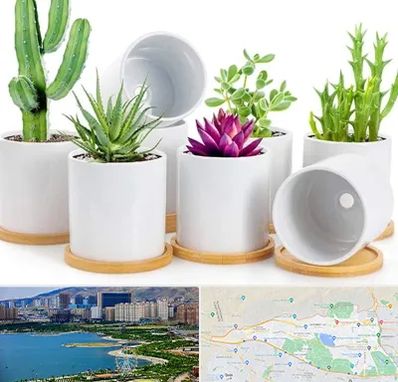 فروش گلدان سرامیکی در منطقه 22 تهران 