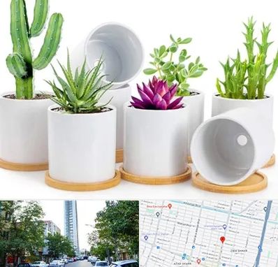 فروش گلدان سرامیکی در امامت مشهد 